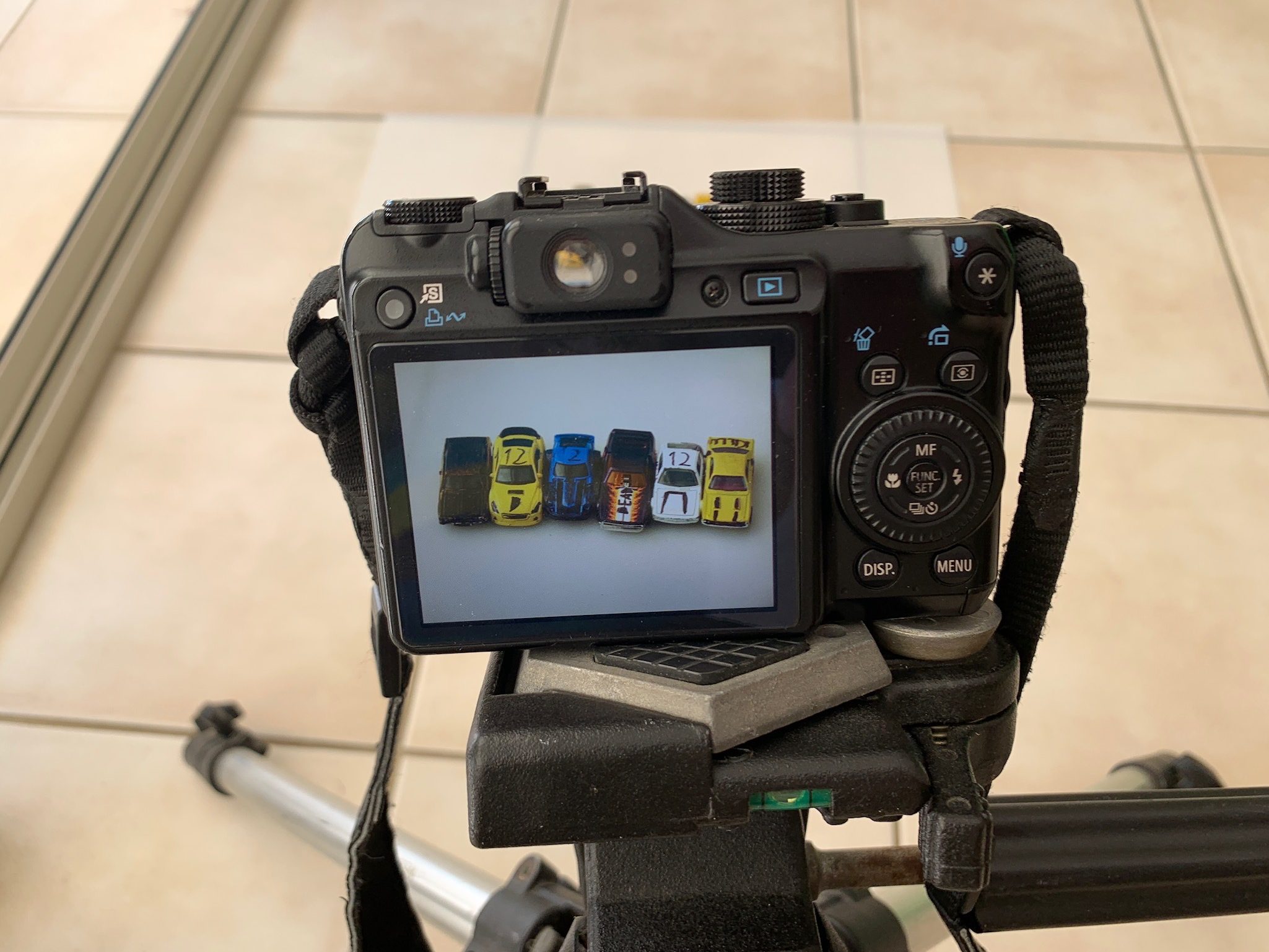 Budding Photographer