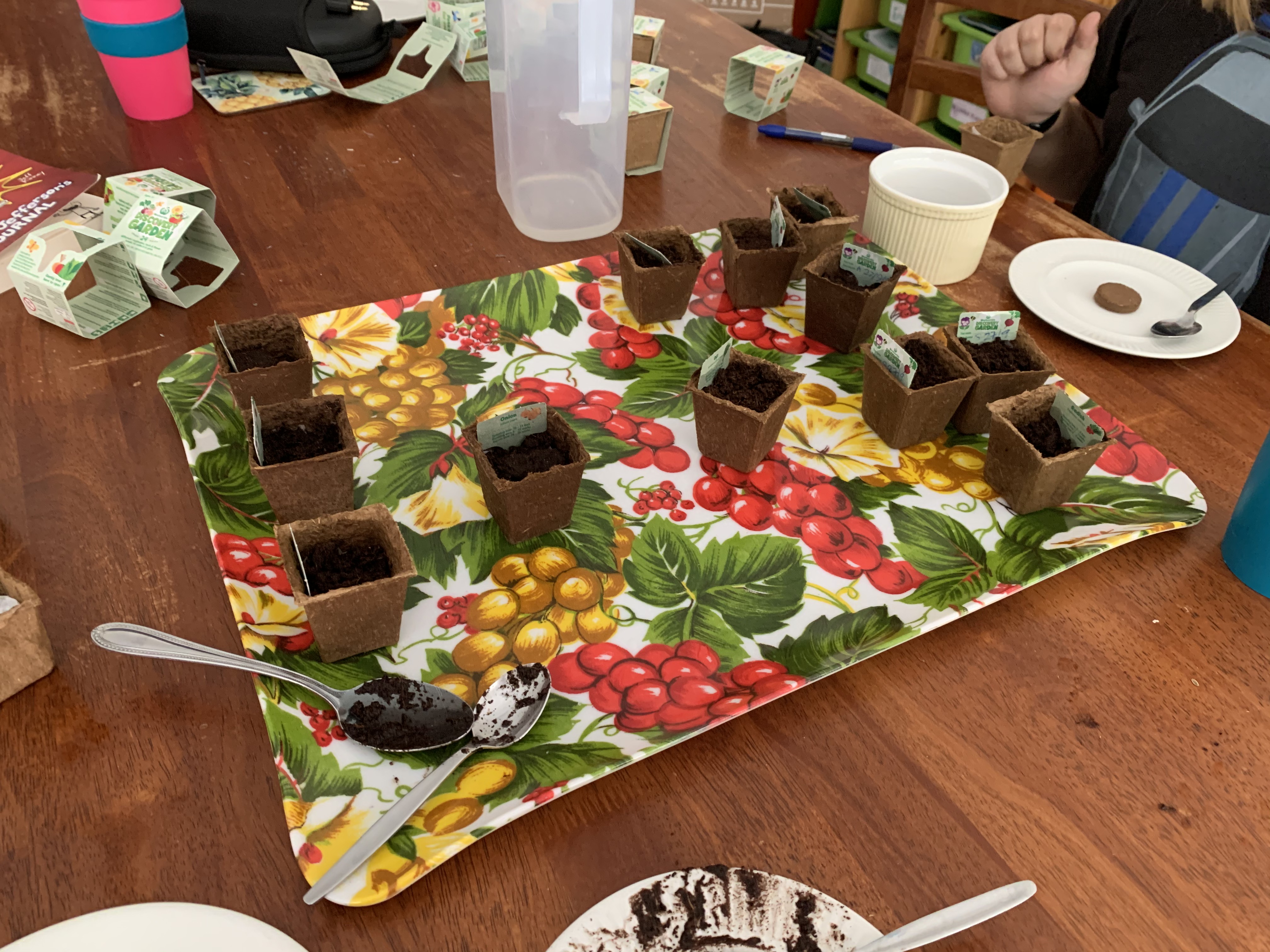 Learning About Plants