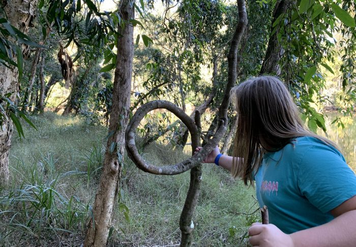 Bongil Bongil National Park
